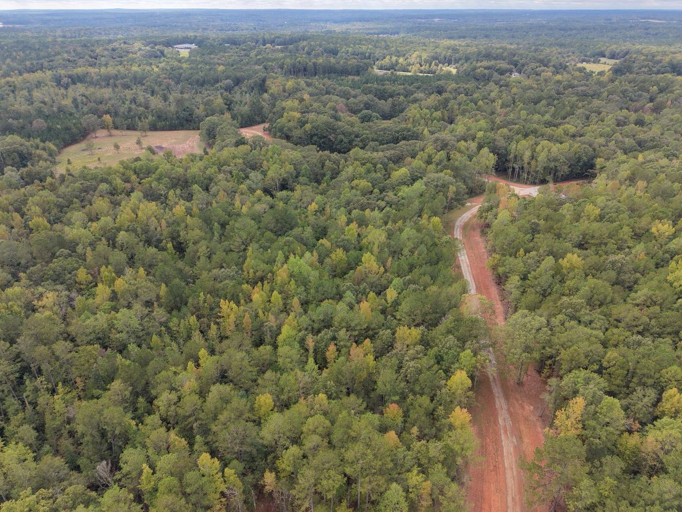 Aerial view of a long drive cleared through Georgia woods