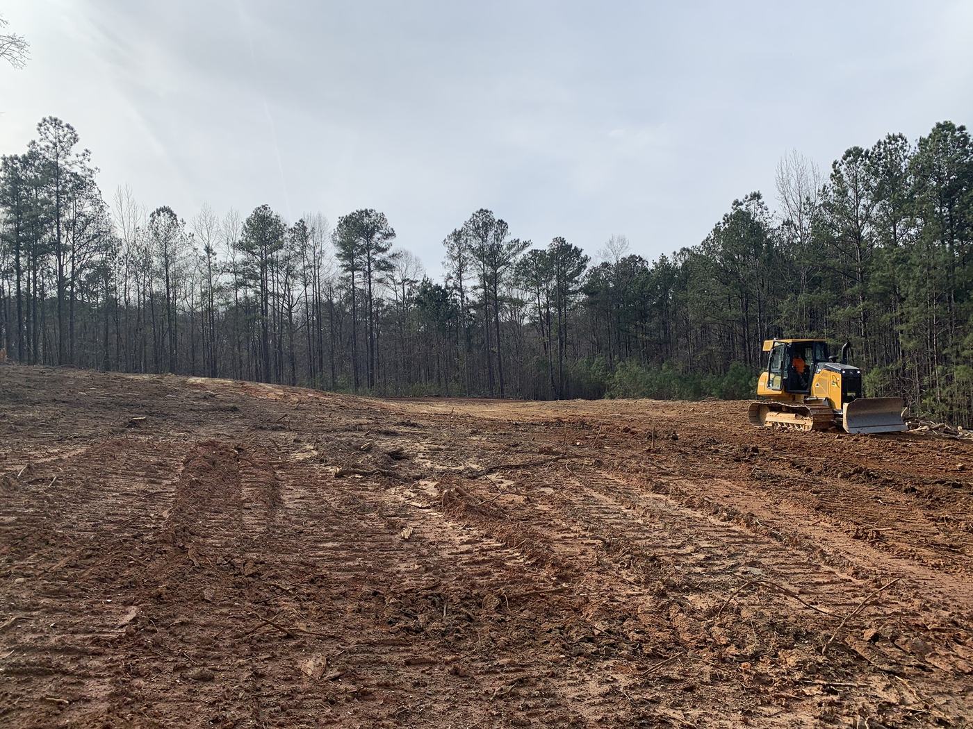 Deere dozer clearing a pine stand down to red clay