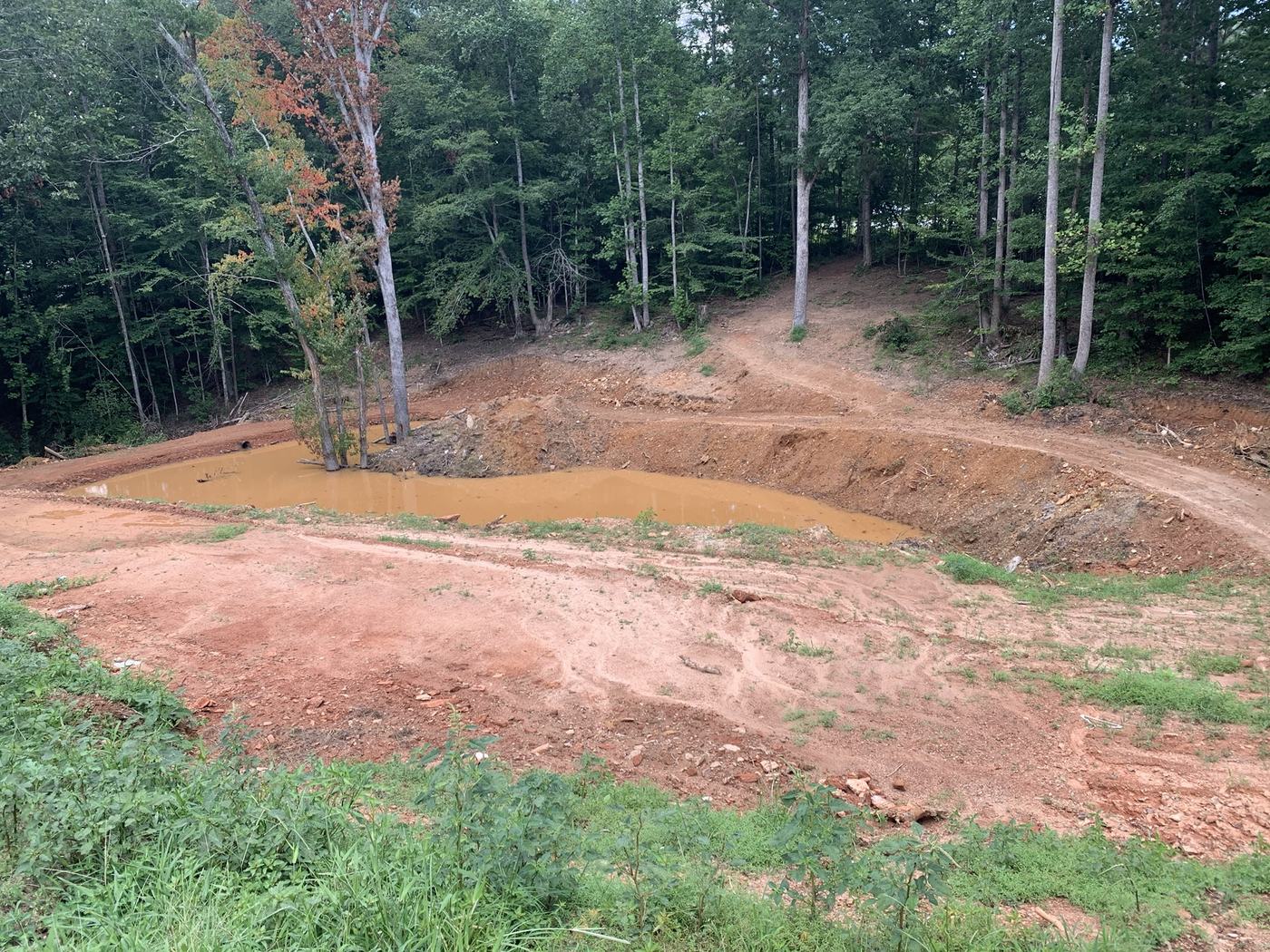 Newly excavated pond basin in the woods