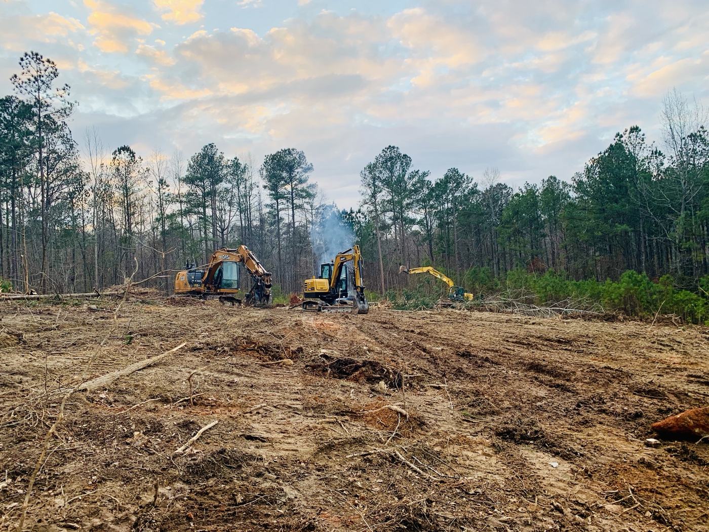 Three excavators clearing timber at dusk