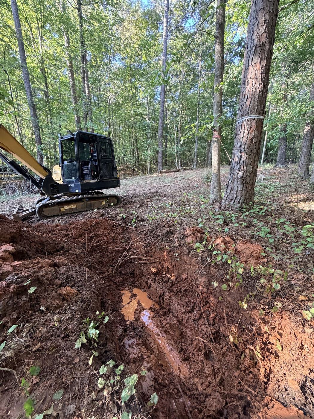 Mini excavator digging a drainage trench on a wooded residential lot